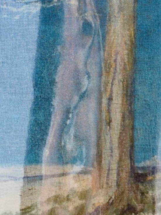 le mélèze de Larche blessure