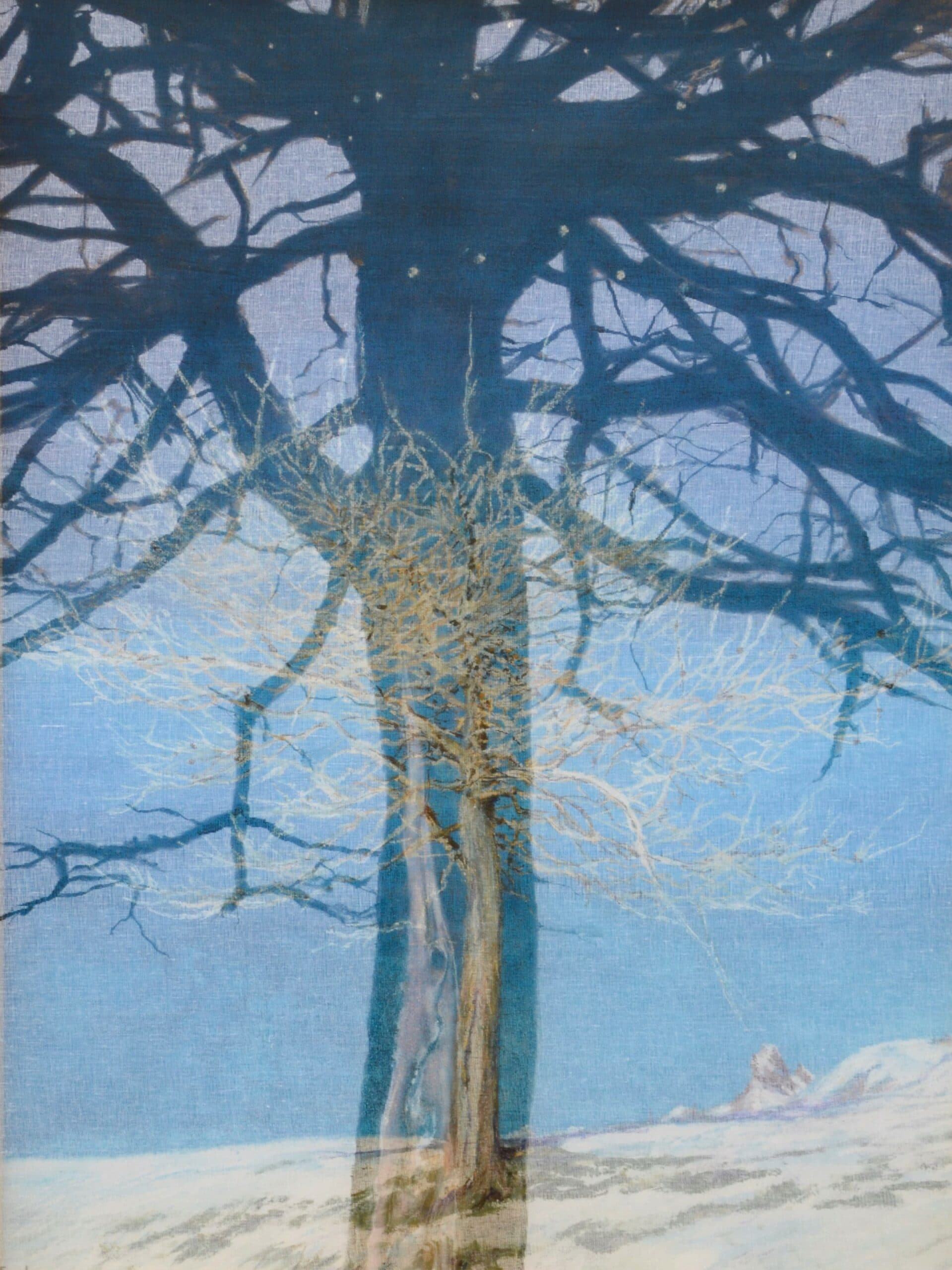 le mélèze de Larche